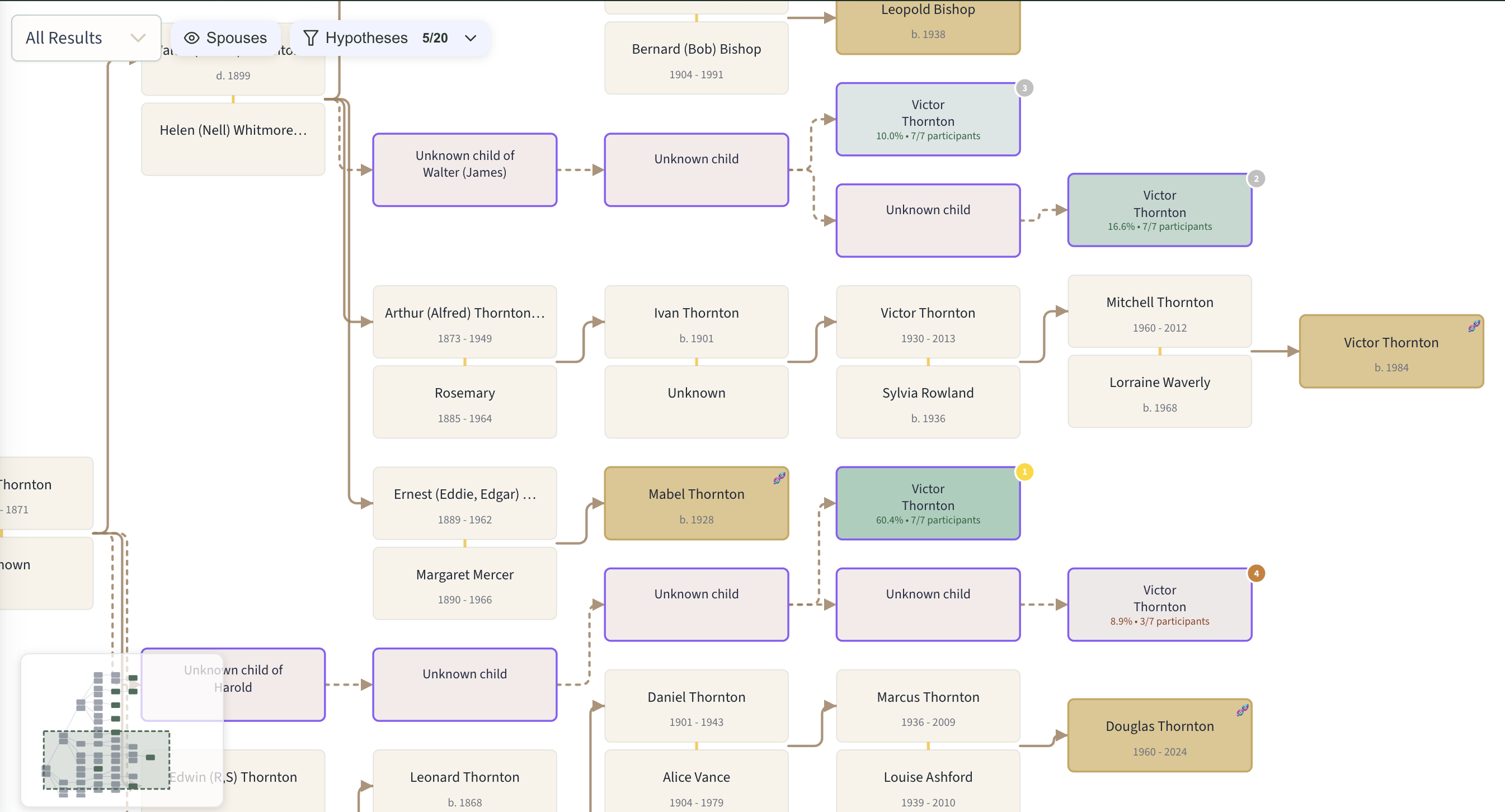Vista del árbol de hipótesis que muestra parejas de antepasados con ramas de hipótesis codificadas por color e insignias de probabilidad